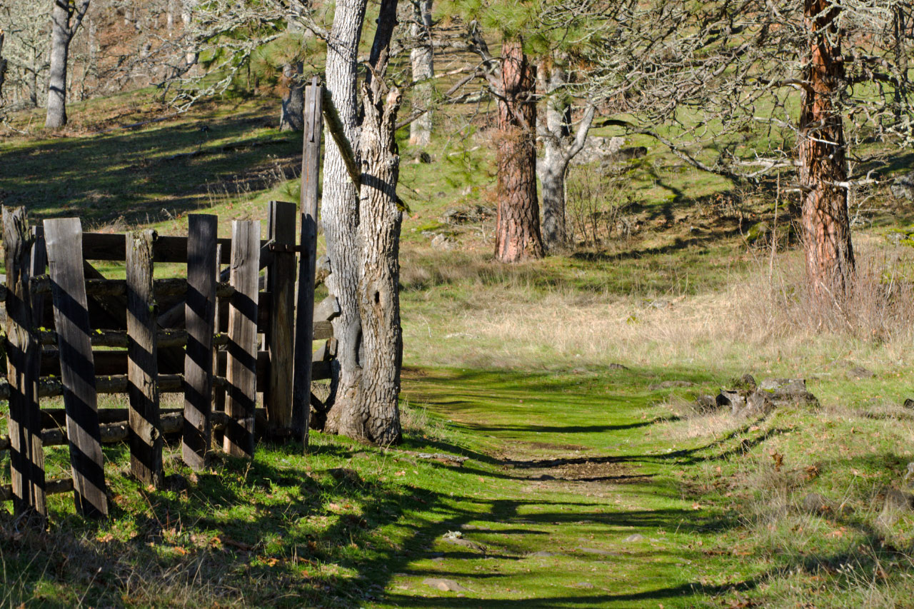 Sun-dappled trail leading by an old corral