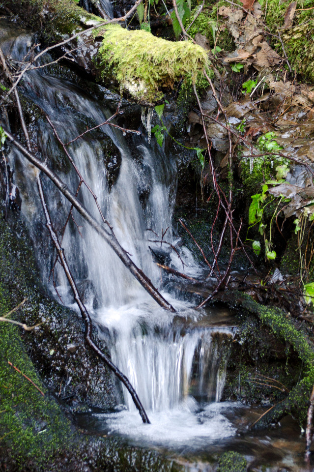 Small waterfall along lower trail