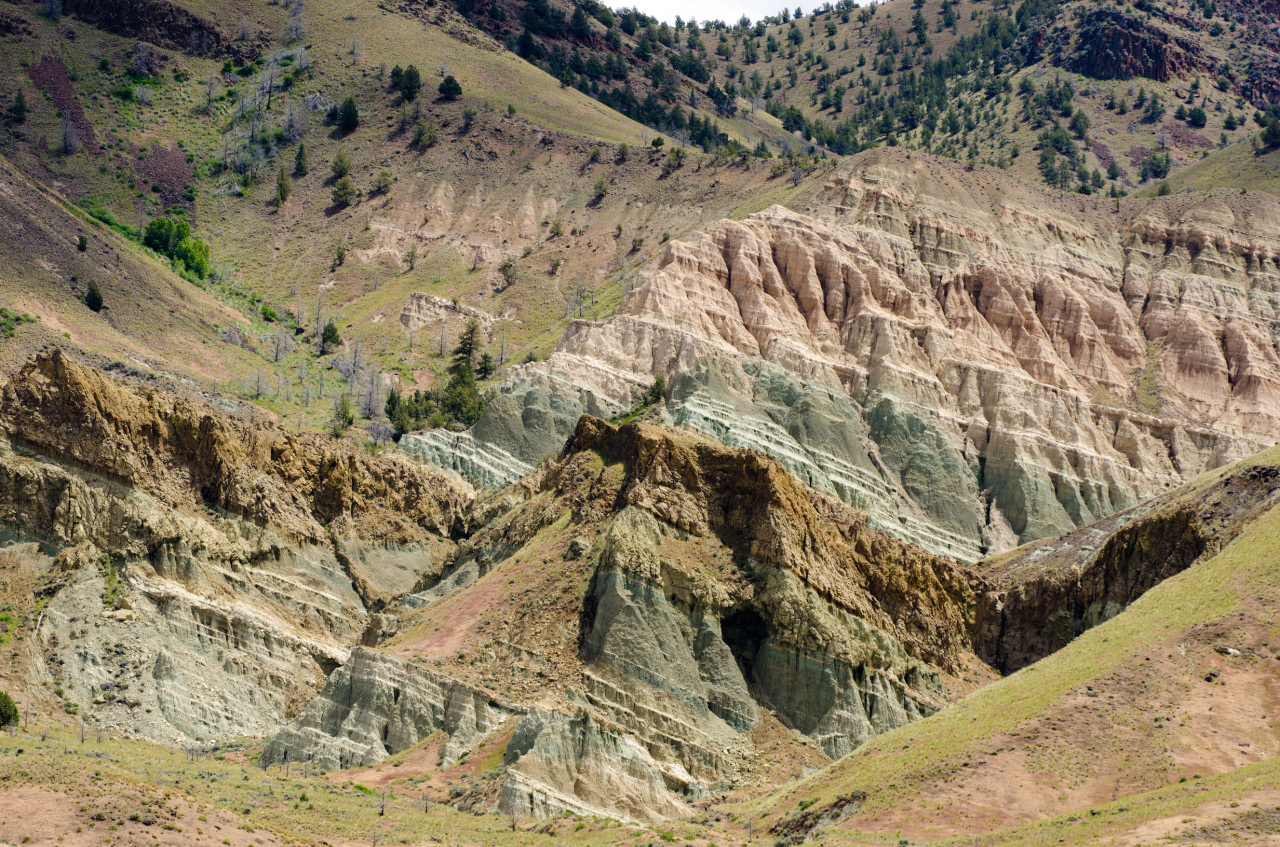 Mascall Formation of the John Day Fossil Beds