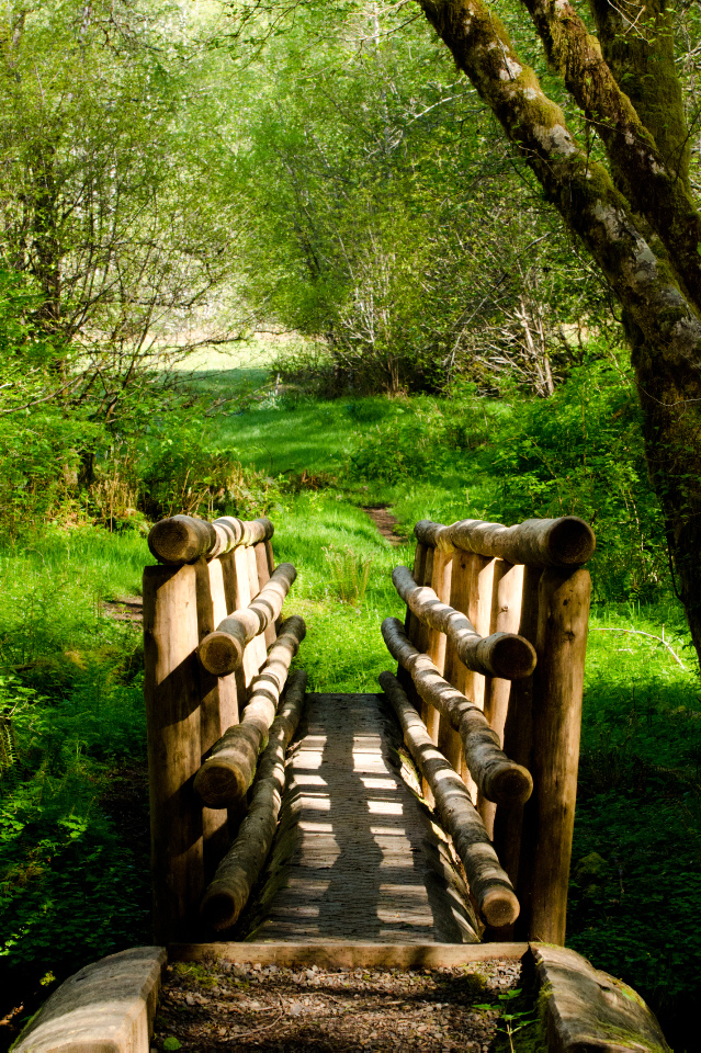Footbridge leading to open meadows