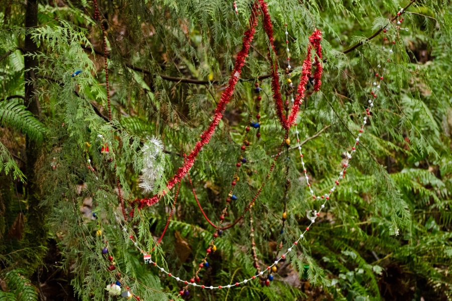 A festive sort left some Christmas cheer along the trail