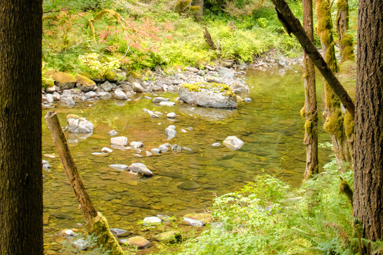 Crystal-clear water of Siouxon Creek