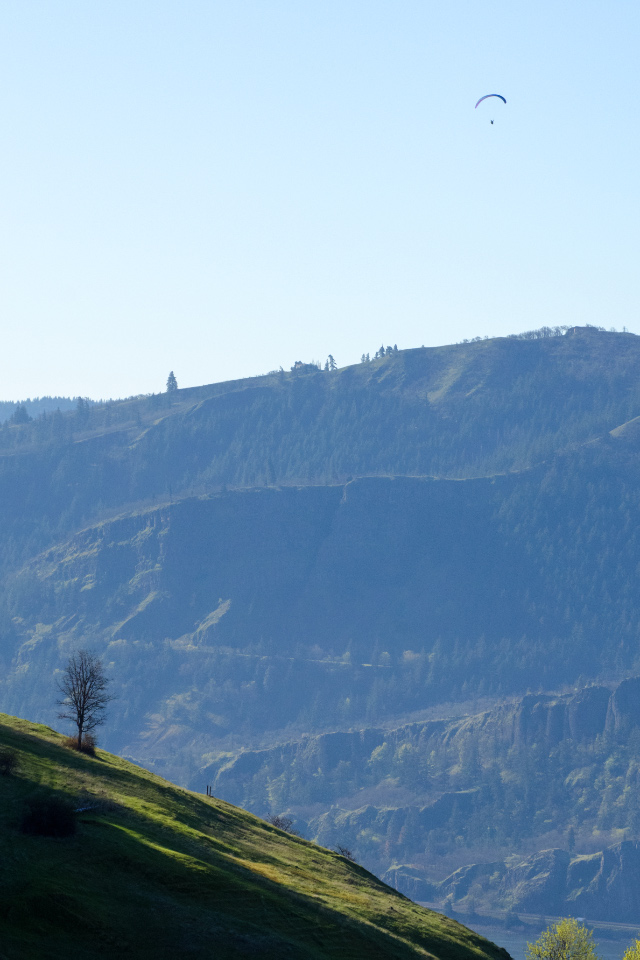 Paraglider way above the Columbia River Gorge