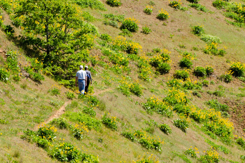Hikers on the lower trail