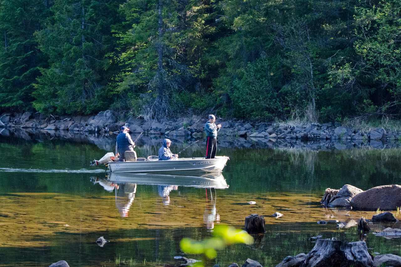 Fishermen chasing the wily trout