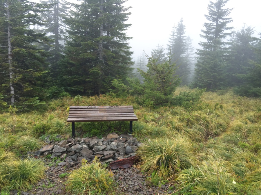 The well-known bench on McIntyre Ridge