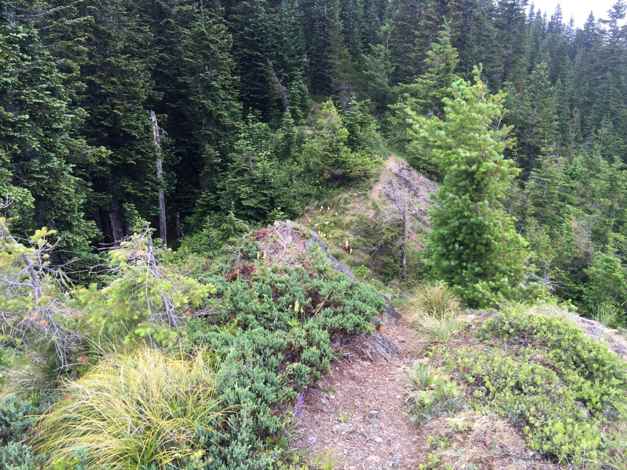 Trail descending Sister Rocks
