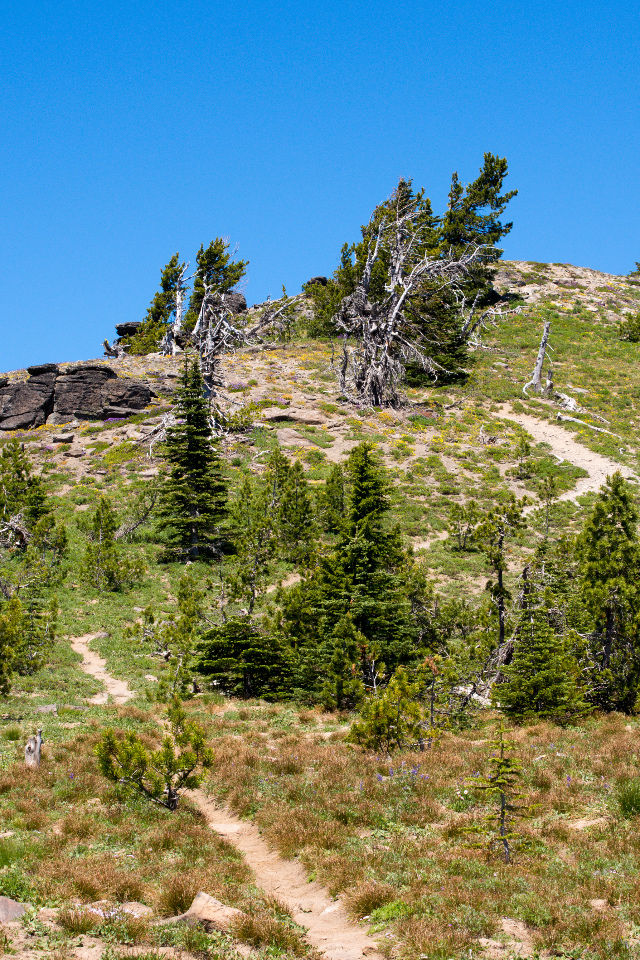 Approach trail to summit of Lookout Mountain