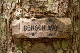 Old trail sign and proof you ascended to the Benson Plateau