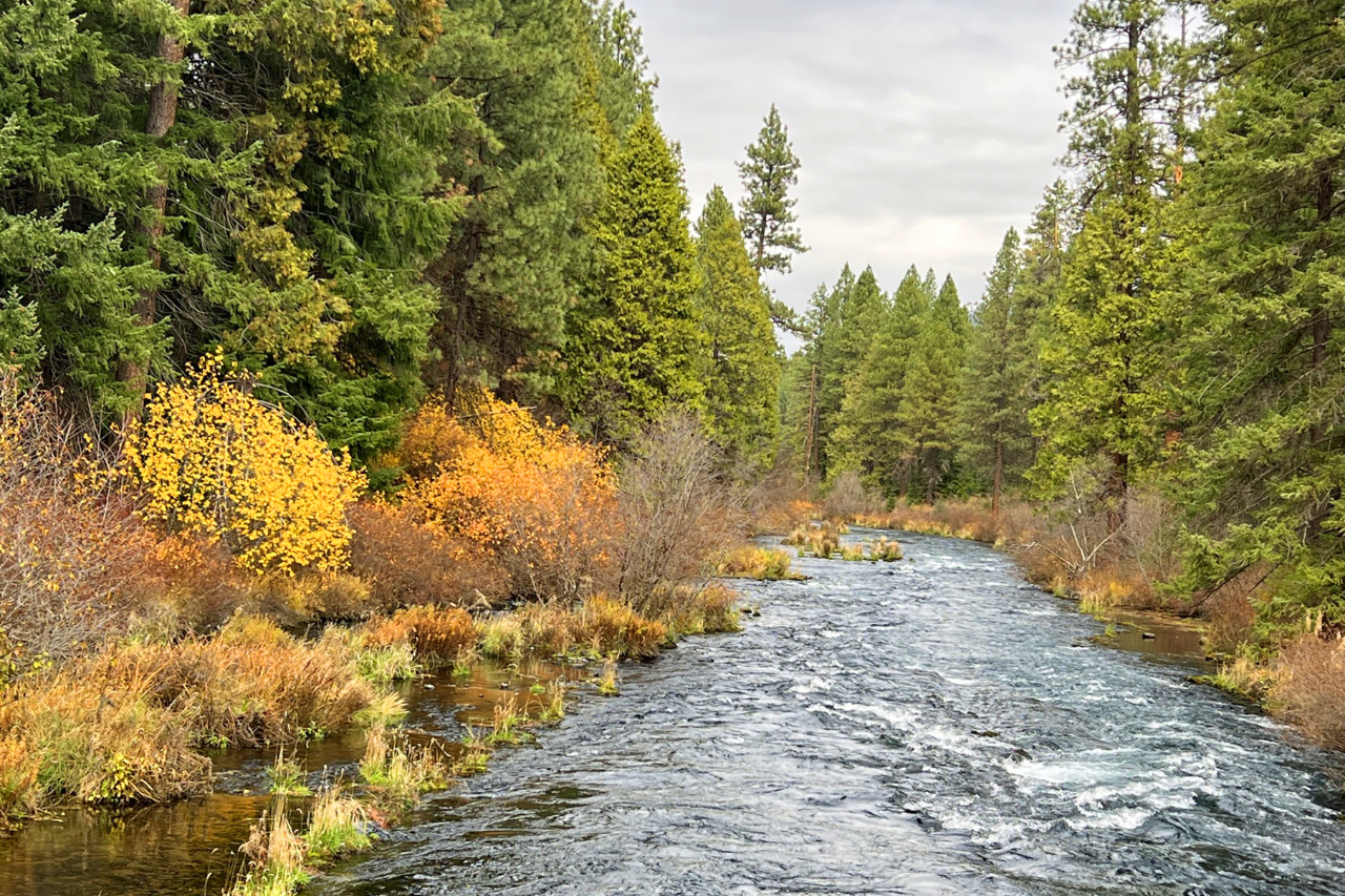 An Autumn Day at the Metolius River