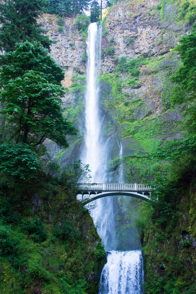 An Original Showcase for the Scenic Columbia River Highway: The Dramatic Trail from Multnomah Falls to Sherrard Point
